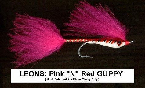 Leons Pink N Red Guppy